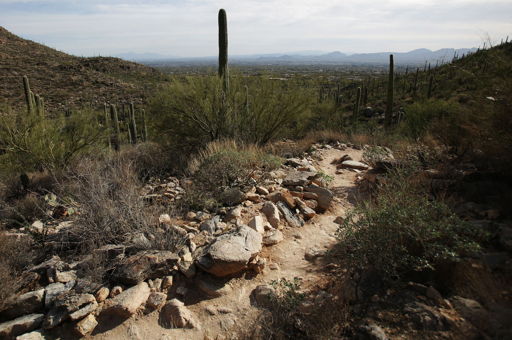 Pima Canyon Trail